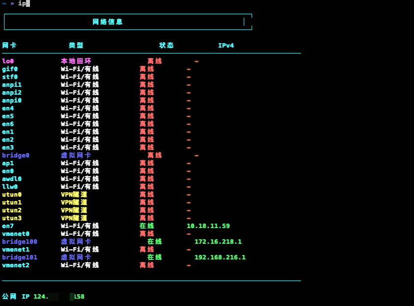 终端执行 ip 指令查看网络信息